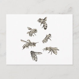 Bee Teckning Vykort