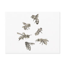 Bee Teckning