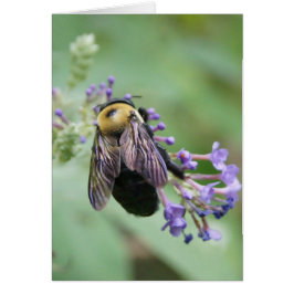 Bee-utiful Bee! Hälsningskort