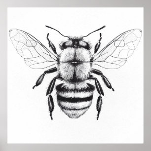 Bee Vild Natur Illustration Art Teckning Poster