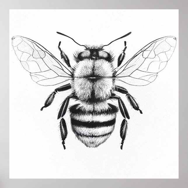 Bee Vild Natur Illustration Art Teckning Poster (Framsidan)