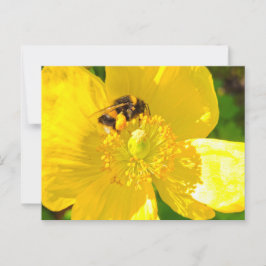 Bee Vykort