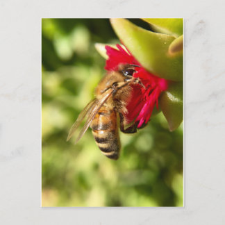 BEE VYKORT