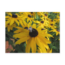 Bee-vykort för arbetare