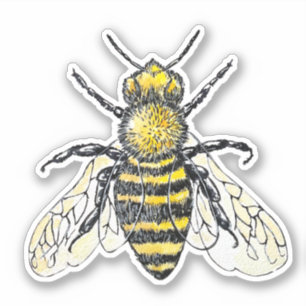 Bee Watercolor Sticker Klistermärken