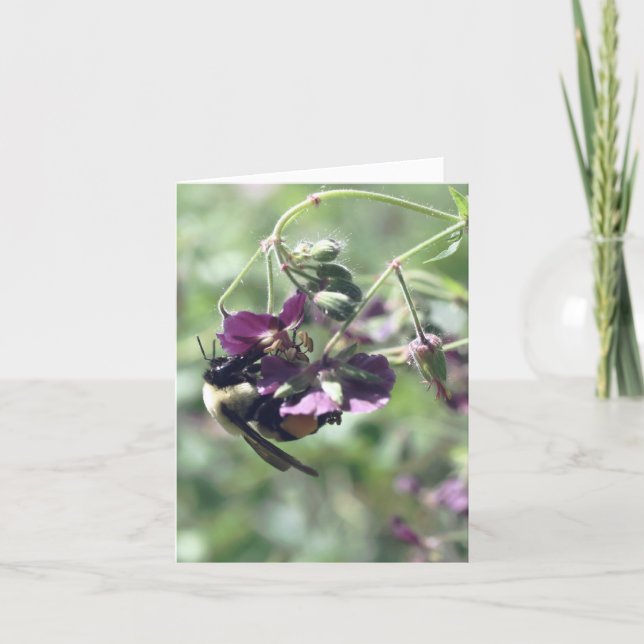 Bee With Pollen Flower Photography  Anteckningskort (Framsida)