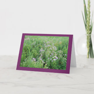 Beebalm i Prairie Garden Blank Note Card Kort
