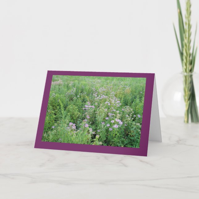 Beebalm i Prairie Garden Blank Note Card Kort (Framsida)