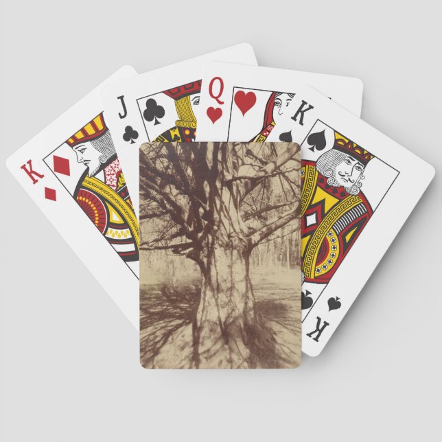 Beech Träd (av Eugène Atget) Casinokort (Baksidan)