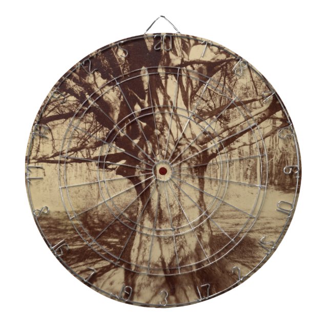 Beech Träd (av Eugène Atget) Darttavla (Framsidan)