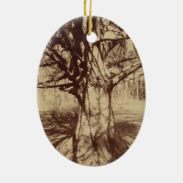 Beech Träd (av Eugène Atget) Julgransprydnad Keramik