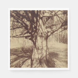Beech Träd (av Eugène Atget) Pappersservett