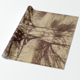 Beech Träd (av Eugène Atget) Presentpapper