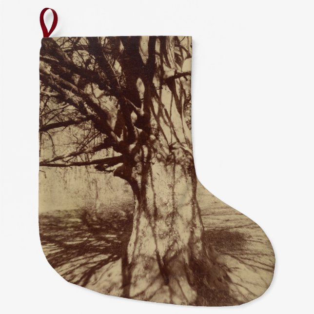 Beech Träd (av Eugène Atget) Stor Julstrumpa (Framsidan)