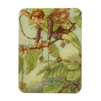 Beech Träd Fairy by Vision Studio