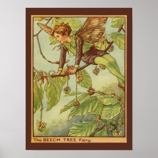 Beech Träd Fairy by Vision Studio Poster (Framsidan)