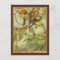 Beech Träd Fairy by Vision Studio