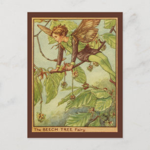Beech Träd Fairy by Vision Studio Vykort