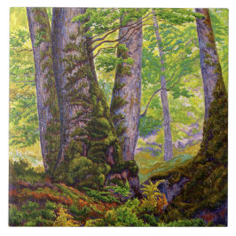 Beech Träd i Forest (Woodland) (Paul Ranson) Kakelplatta