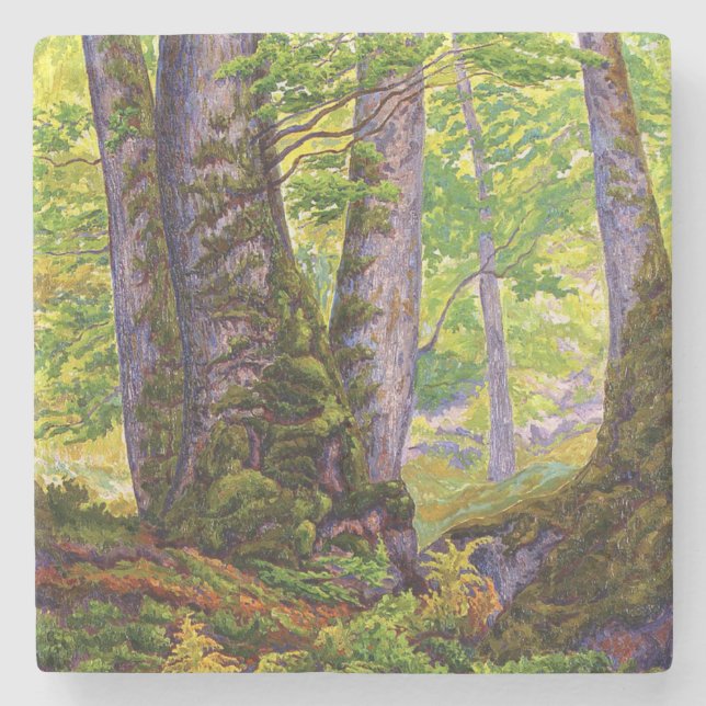 Beech Träd i Forest (Woodland) (Paul Ranson) Stenunderlägg (Framsidan)