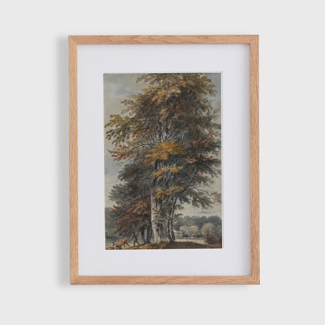 Beech träd, man, nötkreatur och får, vintage poster (Skapare uppladdad)