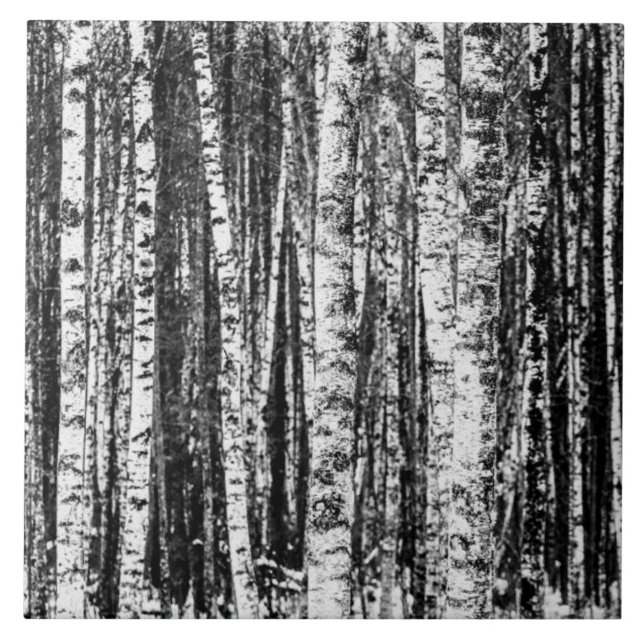 Beech Träd, vit och träkol Grått / Grått Kakelplatta (Framsidan)