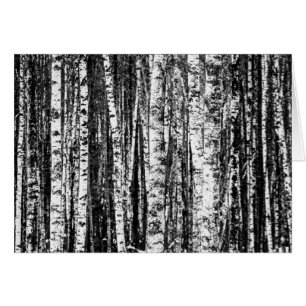 Beech Träd, vit och träkol Grått / Grått OBS Kort