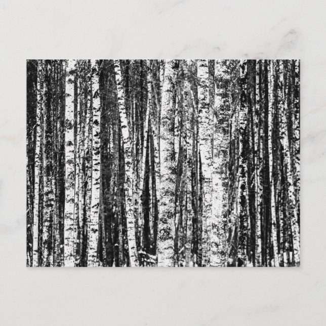 Beech Träd, vit och träkol Grått / Grått Vykort (Framsida)