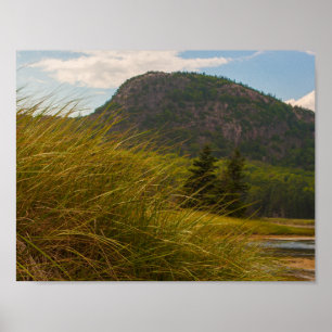 Beehive, Acadias nationalpark, Maine Poster