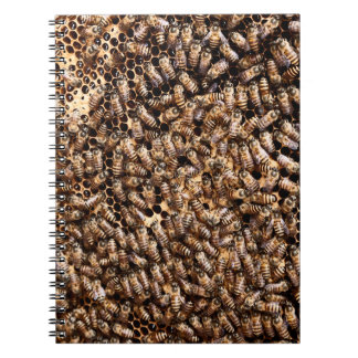 BEEHIVE ANTECKNINGSBOK