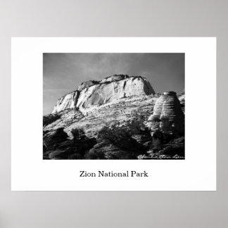 Beehive och Monolith Poster