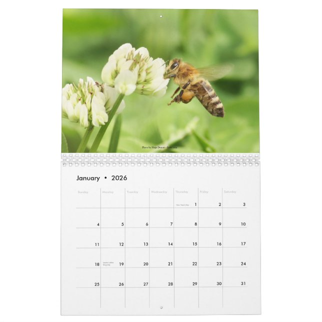 Beekeeperskalendern 2013 kalender (Jan 2026)
