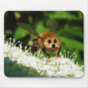 Beeog Musmatta