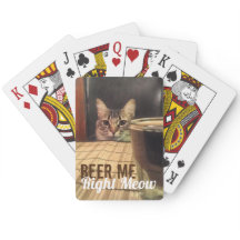 Beer Me Höger Meow Funny Kattunge-fotografi