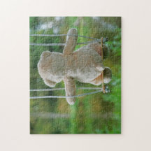 Beer op schommel vanaf de rug.