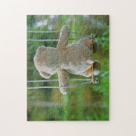 Beer op schommel vanaf de rug. pussel