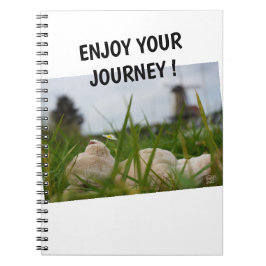 Beer relaxt in natuur met Hollandse molen. Anteckningsbok