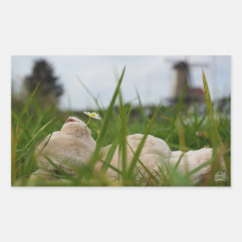 Beer relaxt in natuur met Hollandse molen. Rektangulärt Klistermärke