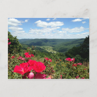 Beersheba fjädrar vykortet vykort