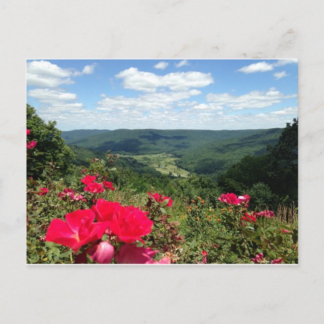 Beersheba fjädrar vykortet vykort (Framsida)