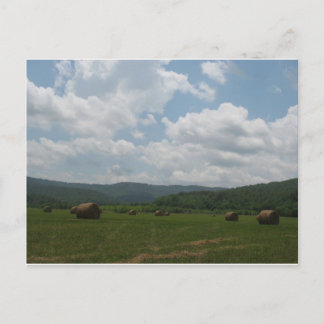 Beersheba Vår vykort