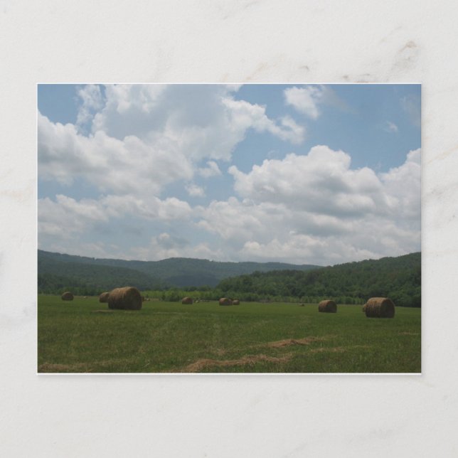 Beersheba Vår vykort (Framsida)