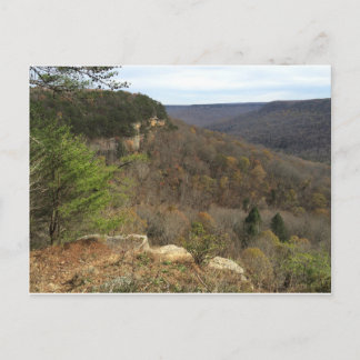 Beersheba Vår vykort