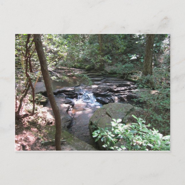 Beersheba Vår vykort (Framsida)