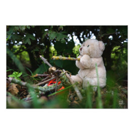 Beertje dat bij kampvuur zit. fototryck