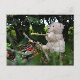 Beertje dat bij kampvuur zit. vykort