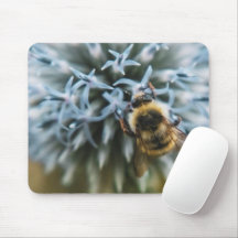 Bees Dance