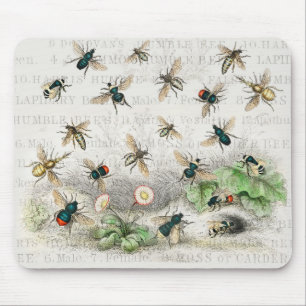 Bees honey Worker Queen Nature Antique Bee Musmatta