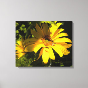 Bees N Sunblommor Wrapped Canvas