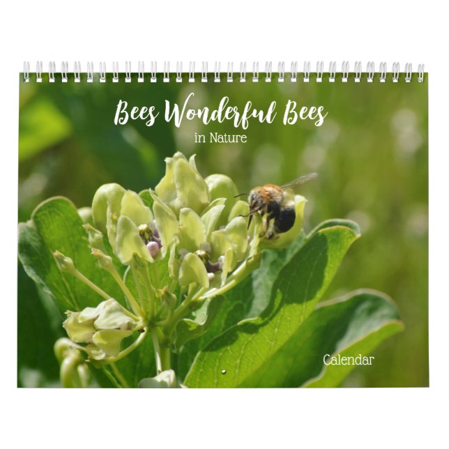 Bees underbara bin i naturkalender kalender (Omslag)